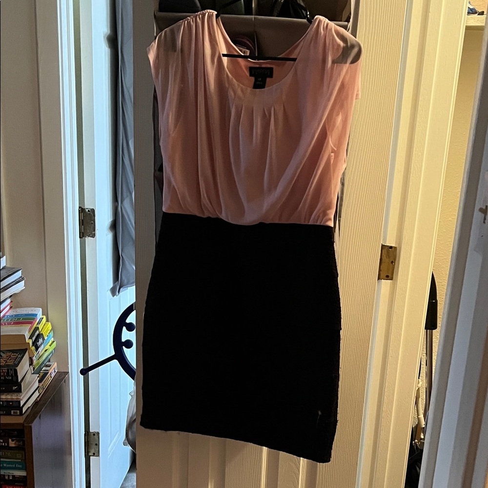 Enfocus Studio Pink and Black Mini Dress